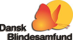 FF13 dansk blindesamfund