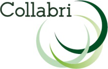 collabi logo small