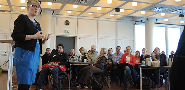 Inspirationsdag ingerfair