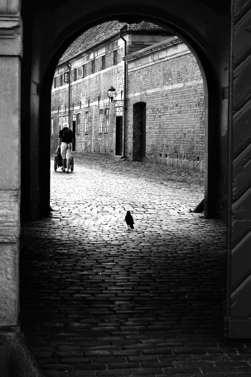 månedsprogram februar 16