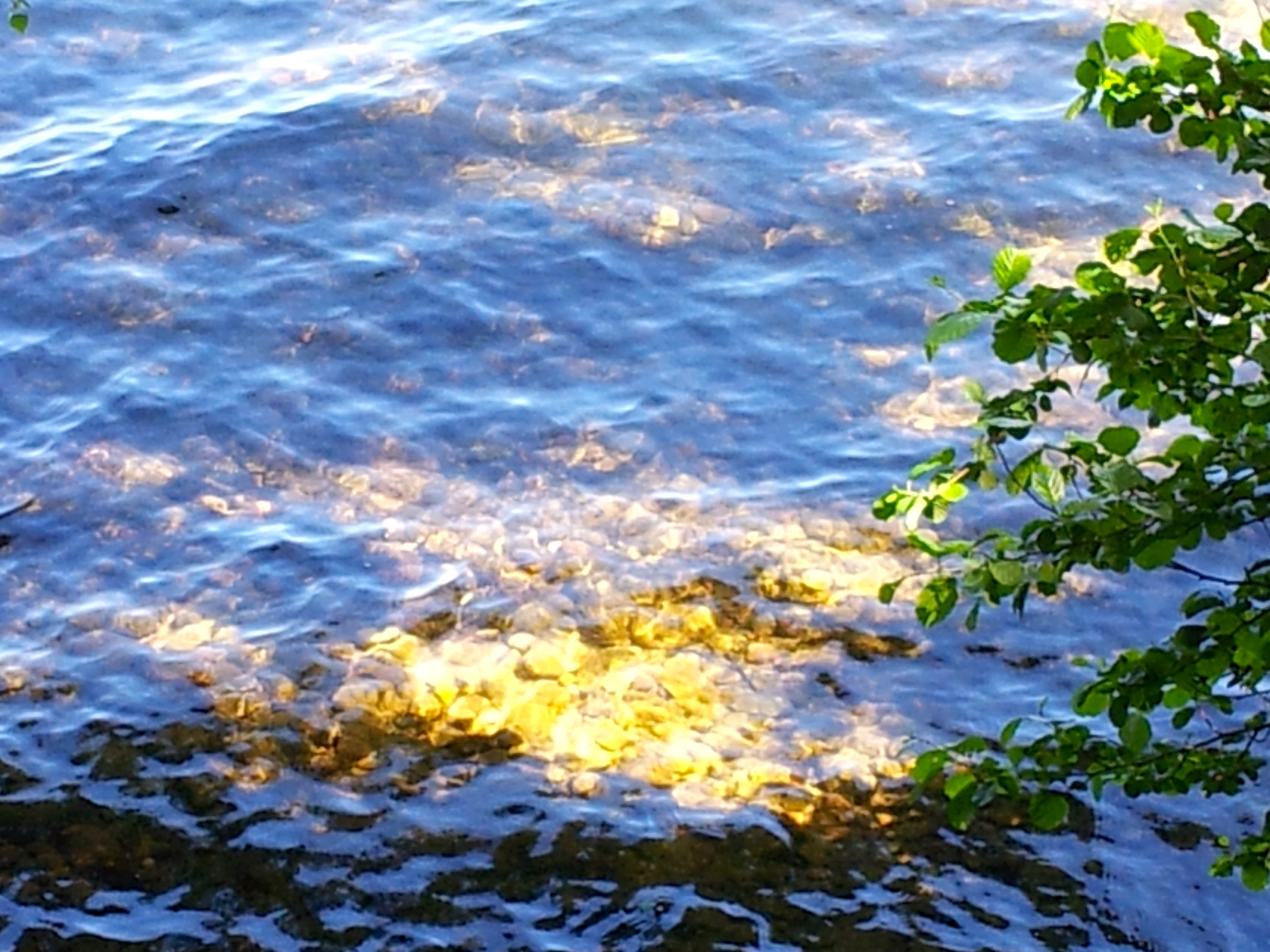 stressbevægelse og trivsel